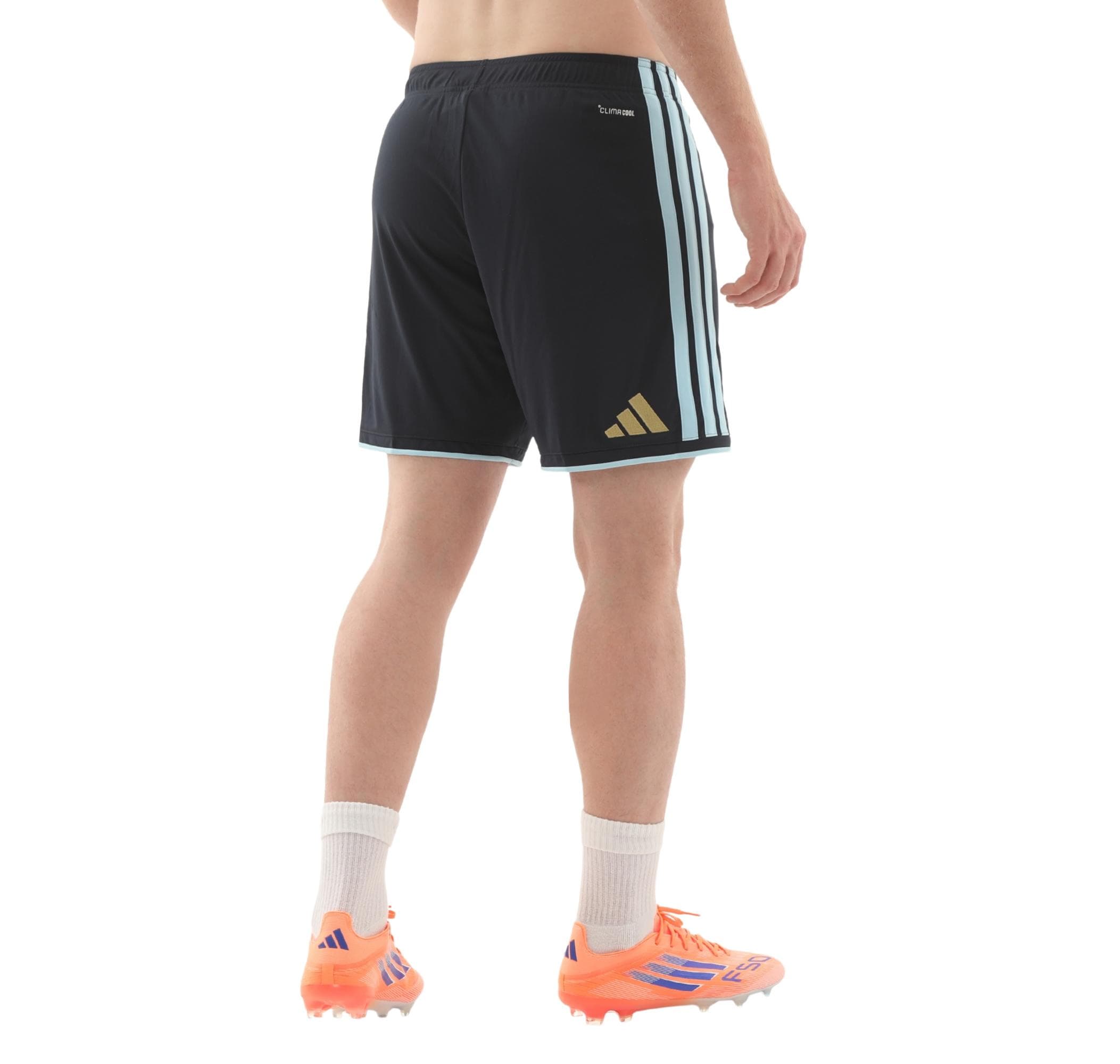 adidas adidas Arjantin 26 İç Saha Erkek Şort Ve Kapri Lacivert - 5