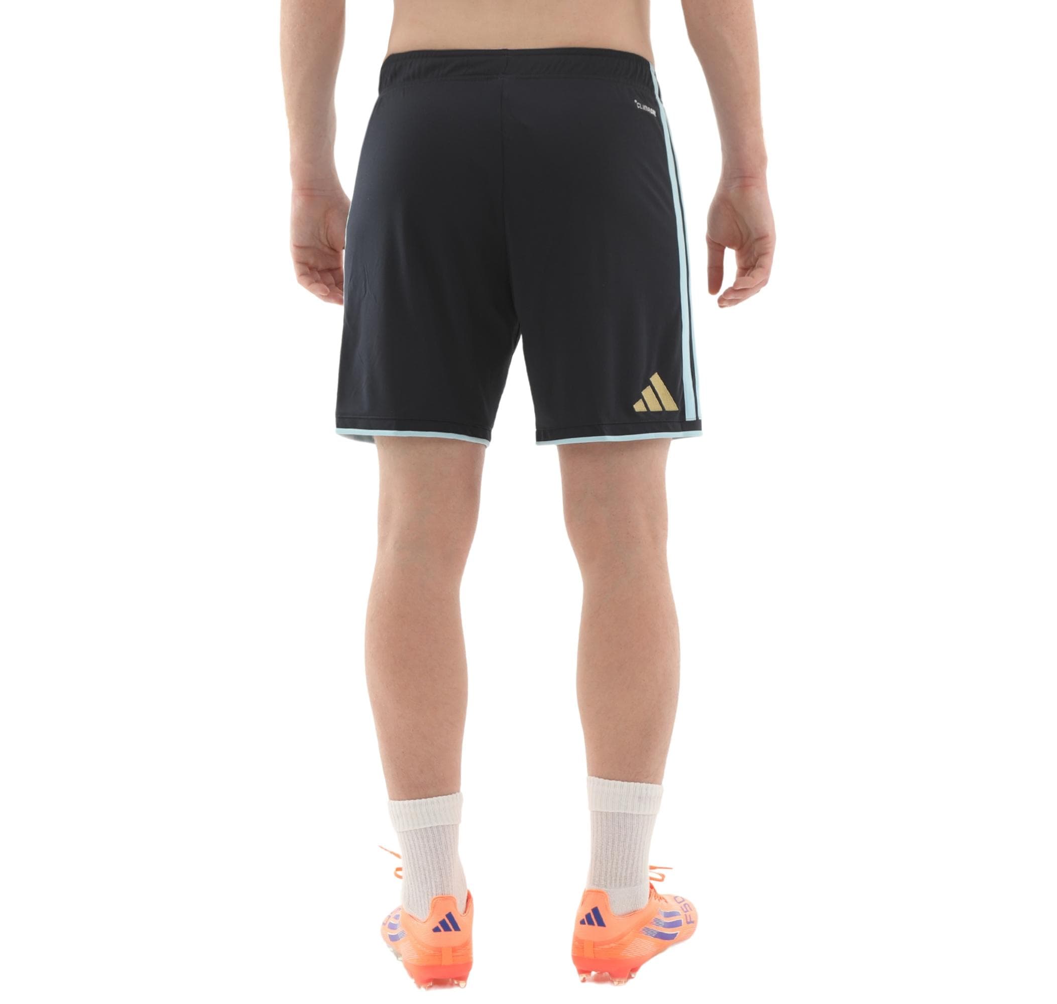 adidas adidas Arjantin 26 İç Saha Erkek Şort Ve Kapri Lacivert - 6