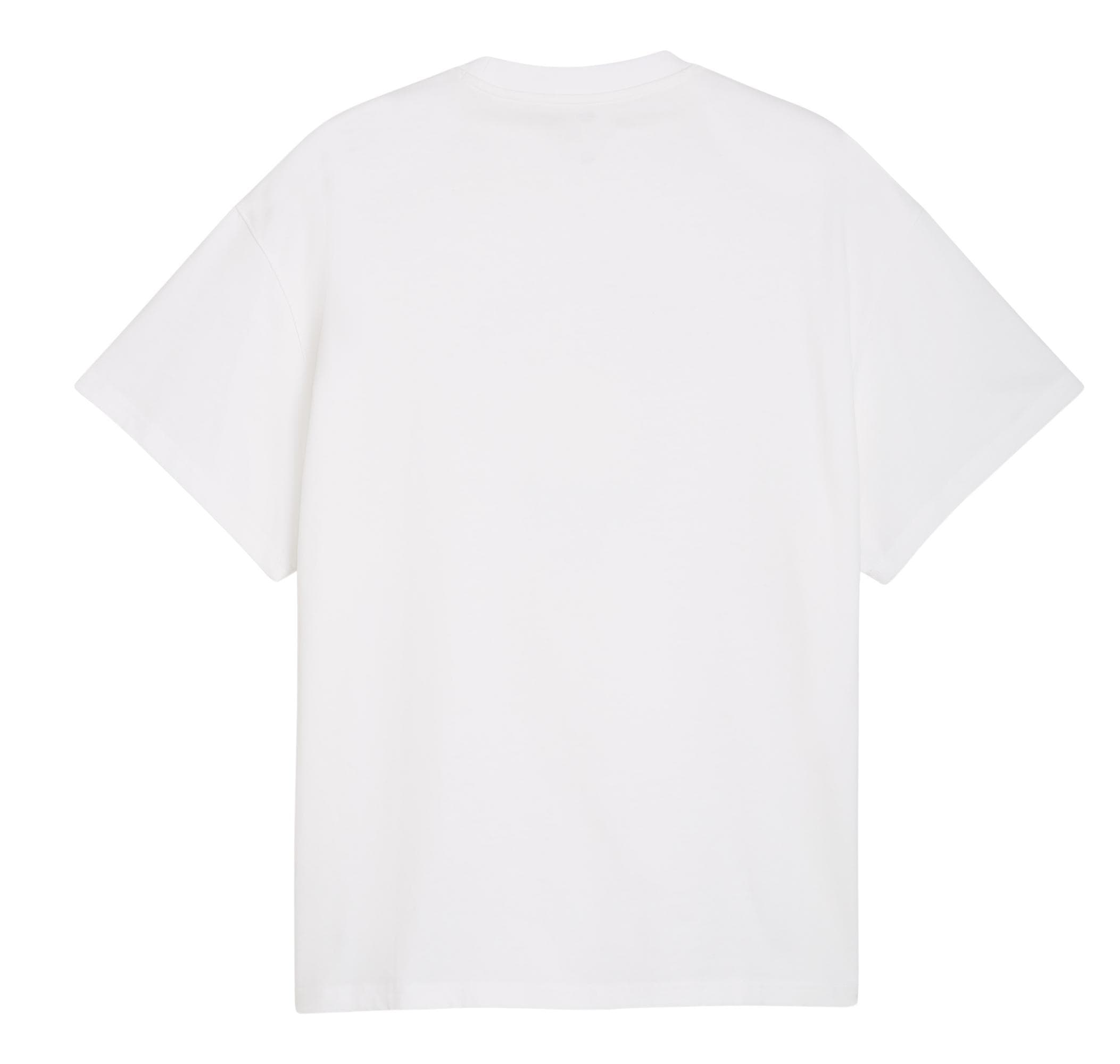 Puma Puma The Atw Dylan Tee Iıııı Erkek T-Shirt Beyaz - 5