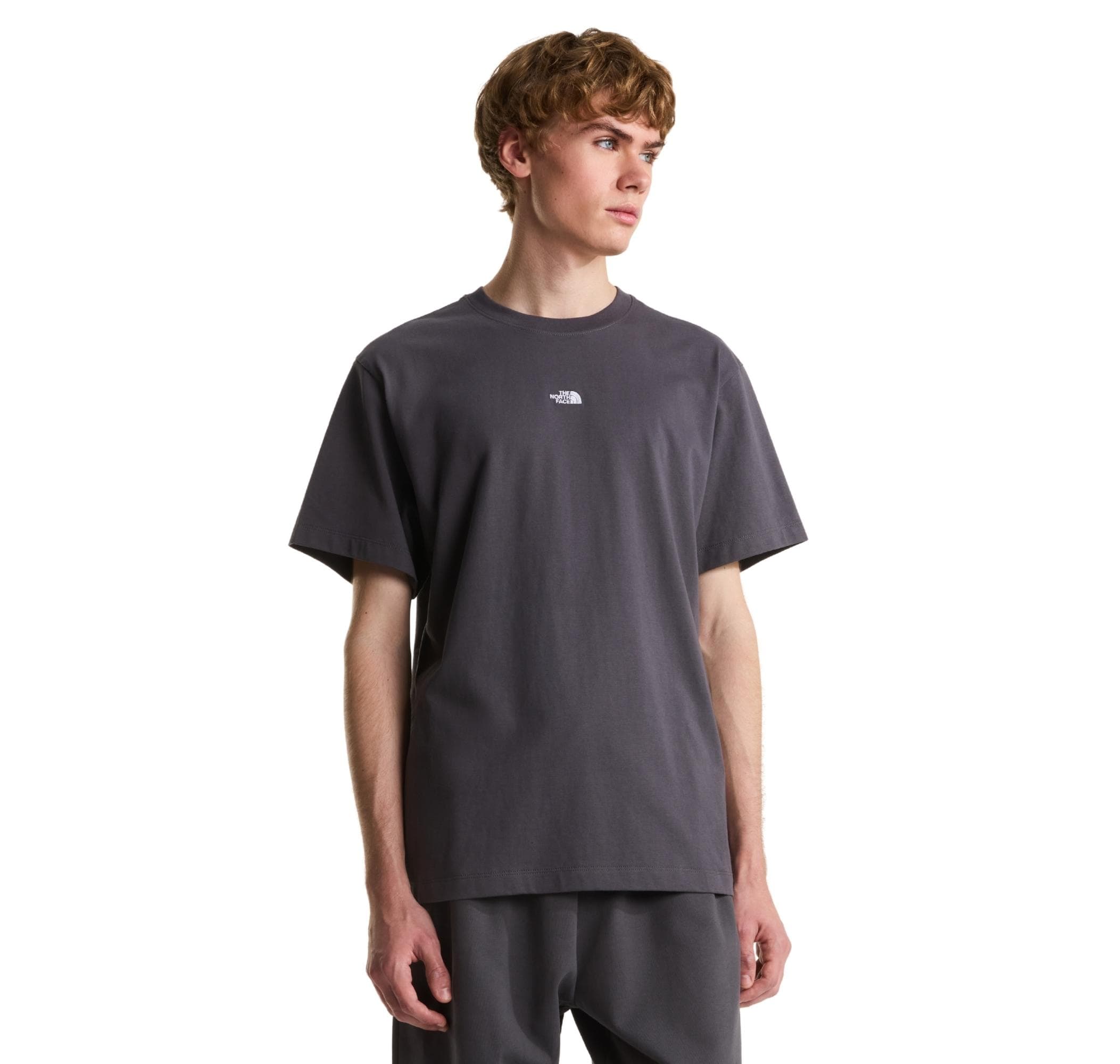 The North Face The North Face M Essentıal Center Logo Relaxed Short Sl Erkek T-Shirt Gri