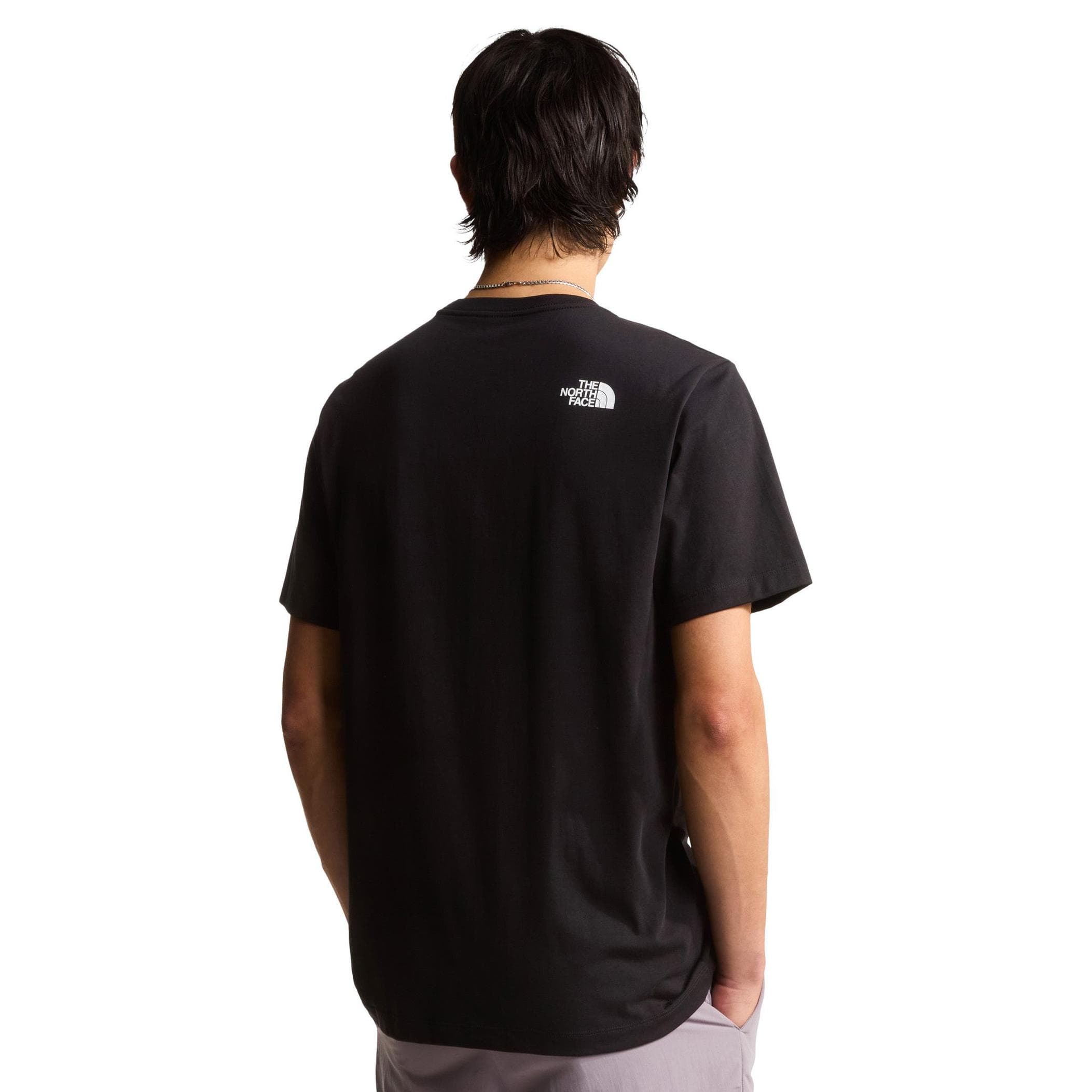 The North Face The North Face M Evolutıon Half Dome Regular Short Slee Erkek T-Shirt Siyah - 2