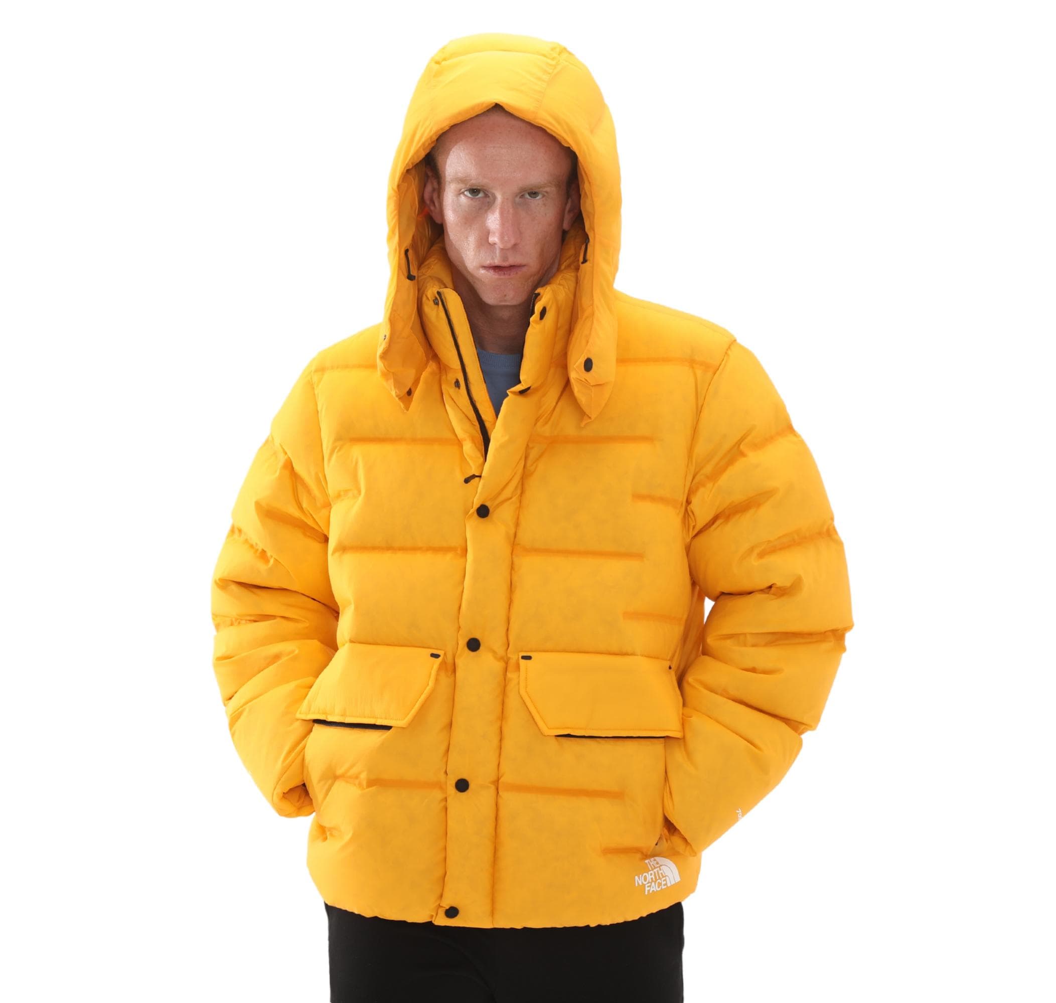 The North Face The North Face M Rmst Sıerra Parka Erkek Mont Sarı - 5