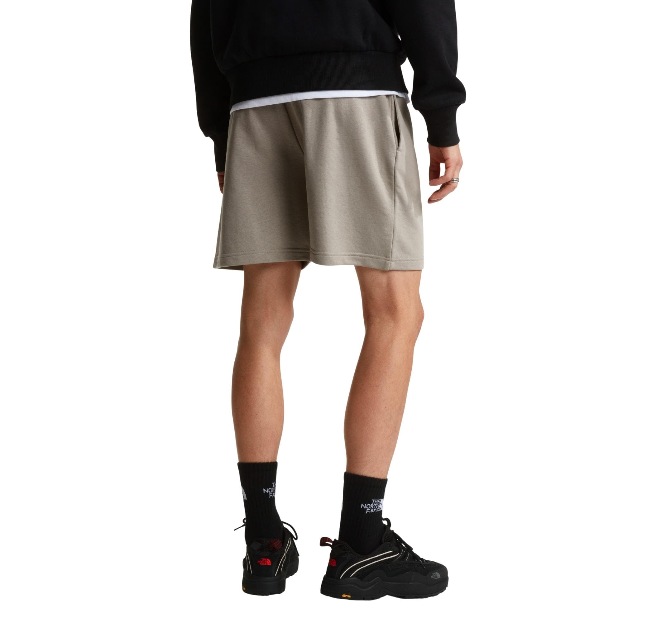 The North Face The North Face M Sımple Dome Lıght Regular Shorts Erkek Şort Ve Kapri Haki - 3