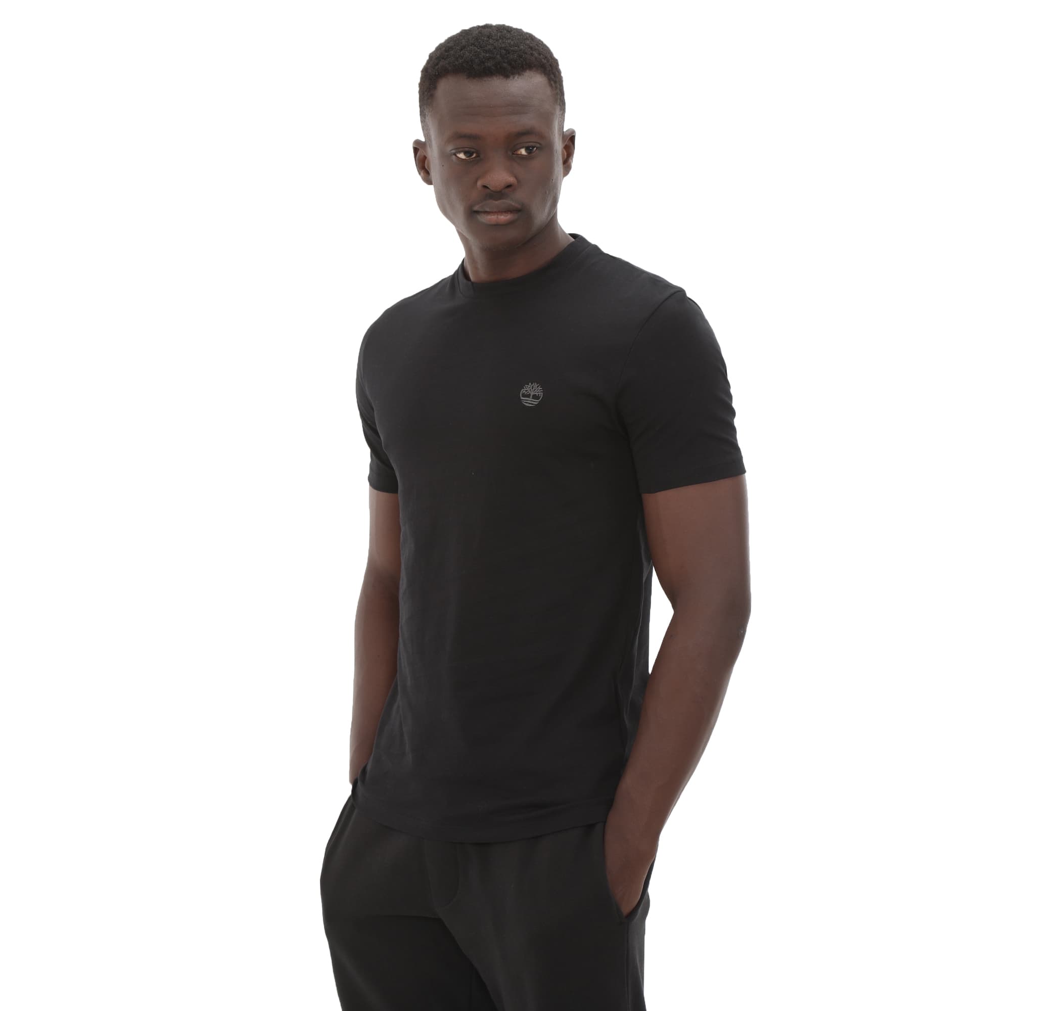 Timberland Timberland Dunstan Rıver Short Sleeve Tee Erkek T-Shirt Siyah